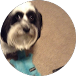 Profile photo of Gary Kirsch