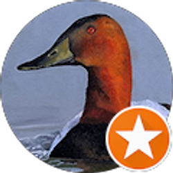 Profile photo of SHAWN SCOGGS