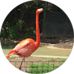 Profile photo of stan Majda