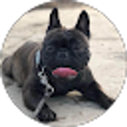 Profile photo of Darlyne Duffey