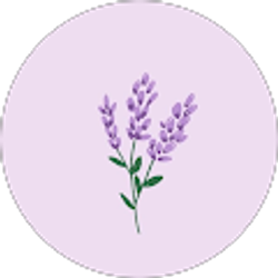 Profile photo of Gabriella Sanchez