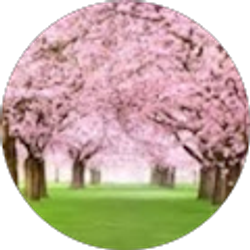 Profile photo of Vinh Thai