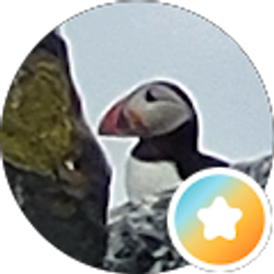 Profile photo of Megan Bleess