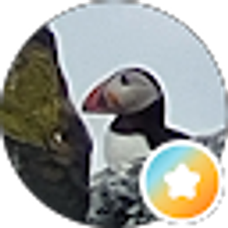 Profile photo of Megan Bleess