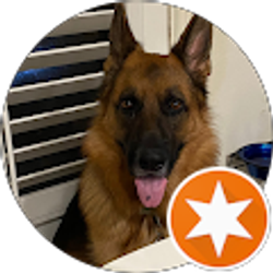 Profile photo of Jared P