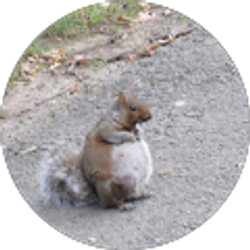 Profile photo of ivan ortiz