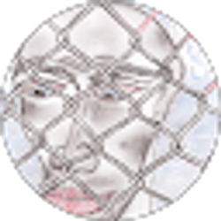 Profile photo of Scott Oakes