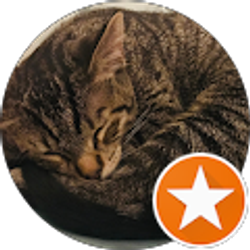 Profile photo of Kate Connely