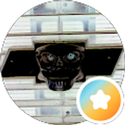Profile photo of Mike G