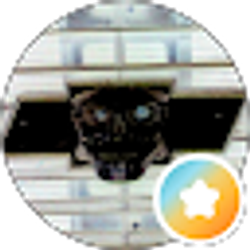 Profile photo of Mike G