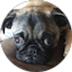 Profile photo of Grecia Lanzo