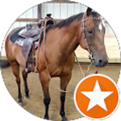 Profile photo of Sandee Sheats