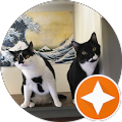 Profile photo of Chris K