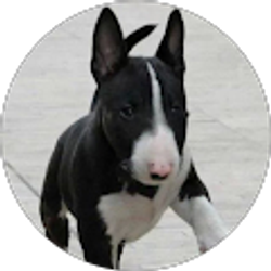 Profile photo of Iris Negley