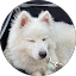 Profile photo of Michael Thao (Winter)