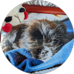 Profile photo of renee