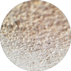 Profile photo of Joy Muldrow