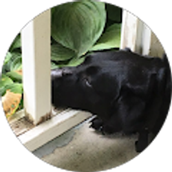 Profile photo of Jennifer