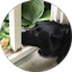 Profile photo of Jennifer