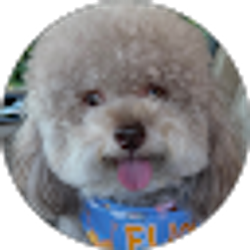 Profile photo of Pina Cova