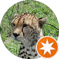 Profile photo of Benjamin Vallet