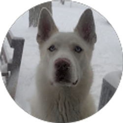 Profile photo of adam holmes