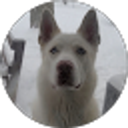 Profile photo of adam holmes