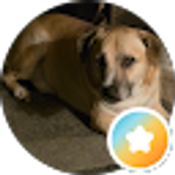 Profile photo of Linda Hamilton
