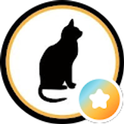 Profile photo of Jill Blubaugh