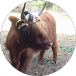 Profile photo of T. Montgomery