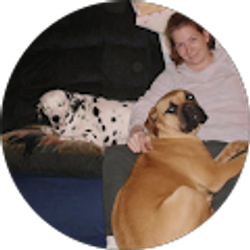 Profile photo of Missy Flavin