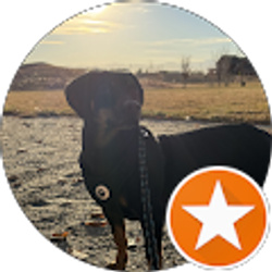 Profile photo of Megan Steele