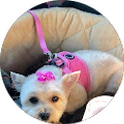 Profile photo of Janice Axelrod