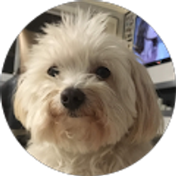 Profile photo of michael Perez