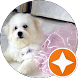 Profile photo of Mary Dustin