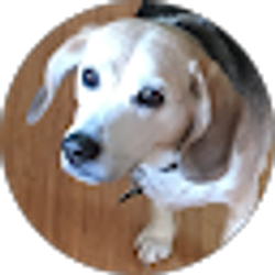 Profile photo of Jeremiah H.
