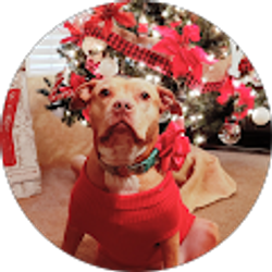 Profile photo of S Siguenza