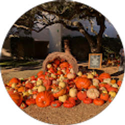 Profile photo of DRU REMSBURG