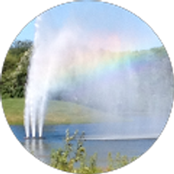 Profile photo of Renata M