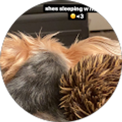 Profile photo of I’m Melanie