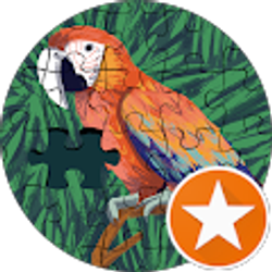 Profile photo of F G