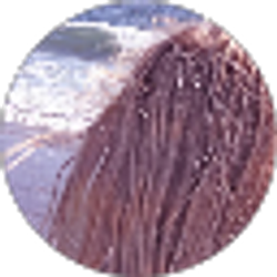 Profile photo of Maly T