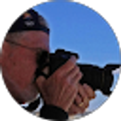 Profile photo of Robert Plows