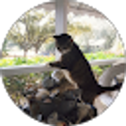 Profile photo of Melissa Yoder