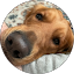 Profile photo of Todd deVall
