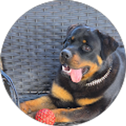 Profile photo of Shaun Gg