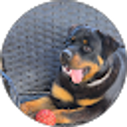 Profile photo of Shaun Gg