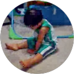 Profile photo of polinzoo