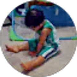 Profile photo of polinzoo