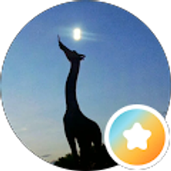 Profile photo of Liza McDow
